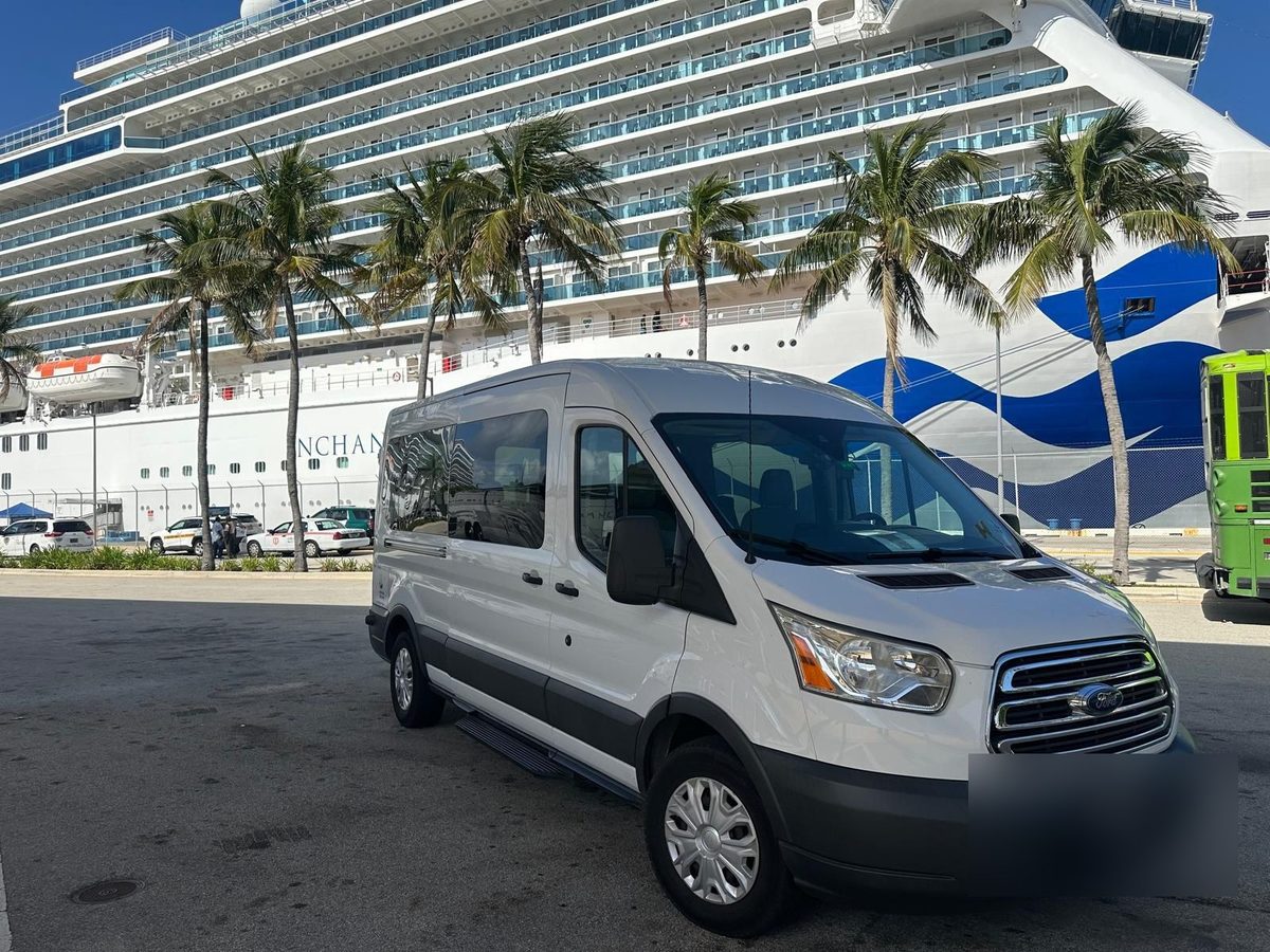Van Sprinter blanca